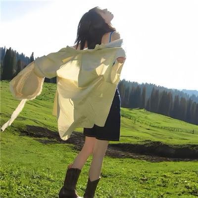 飞象过河