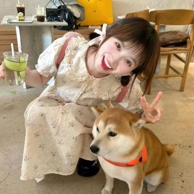 新蝶恋花